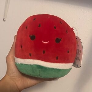 Brand New 5” Watermelon Winsey Squishmallow